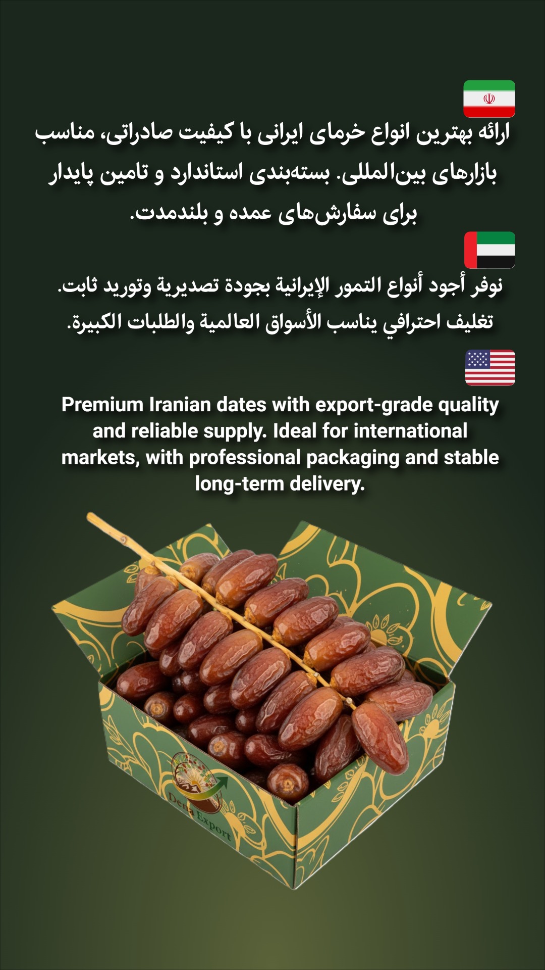 خرمای صادراتی 