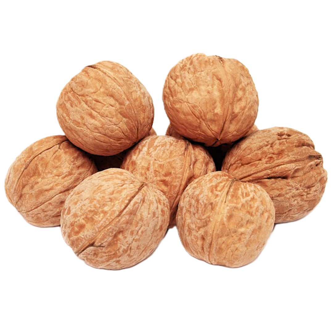 گردو صادراتی دنا اکسپورت