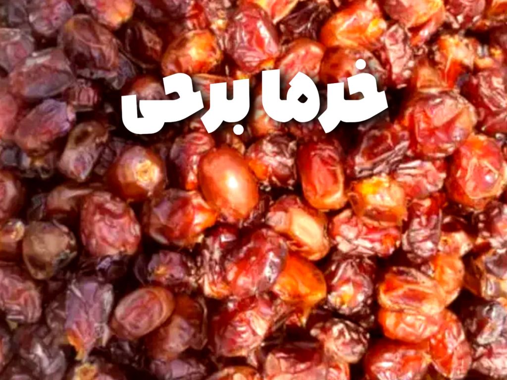خرما برحی