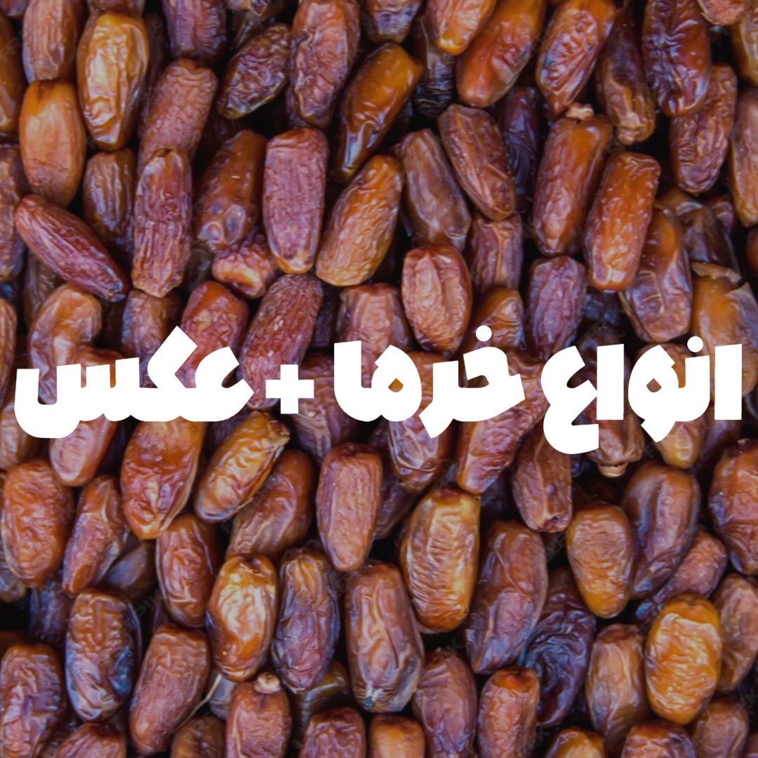 انواع خرما 12 نوع خرما