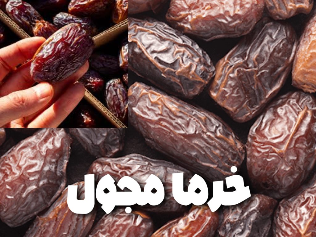 خرمای مجول خرمای مجول درجه یک خرمای مجول ایرانی